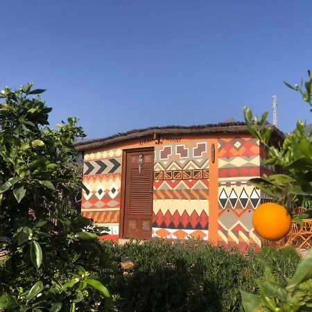 Afrikan Krisant Tenerife, Casa Rural Ecologica Villa Arafo Exterior foto