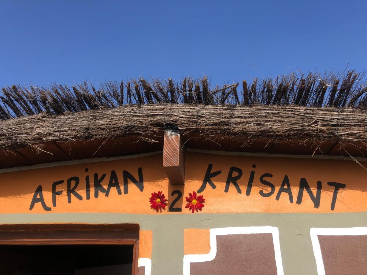 Afrikan Krisant Tenerife, Casa Rural Ecologica Villa Arafo Exterior foto