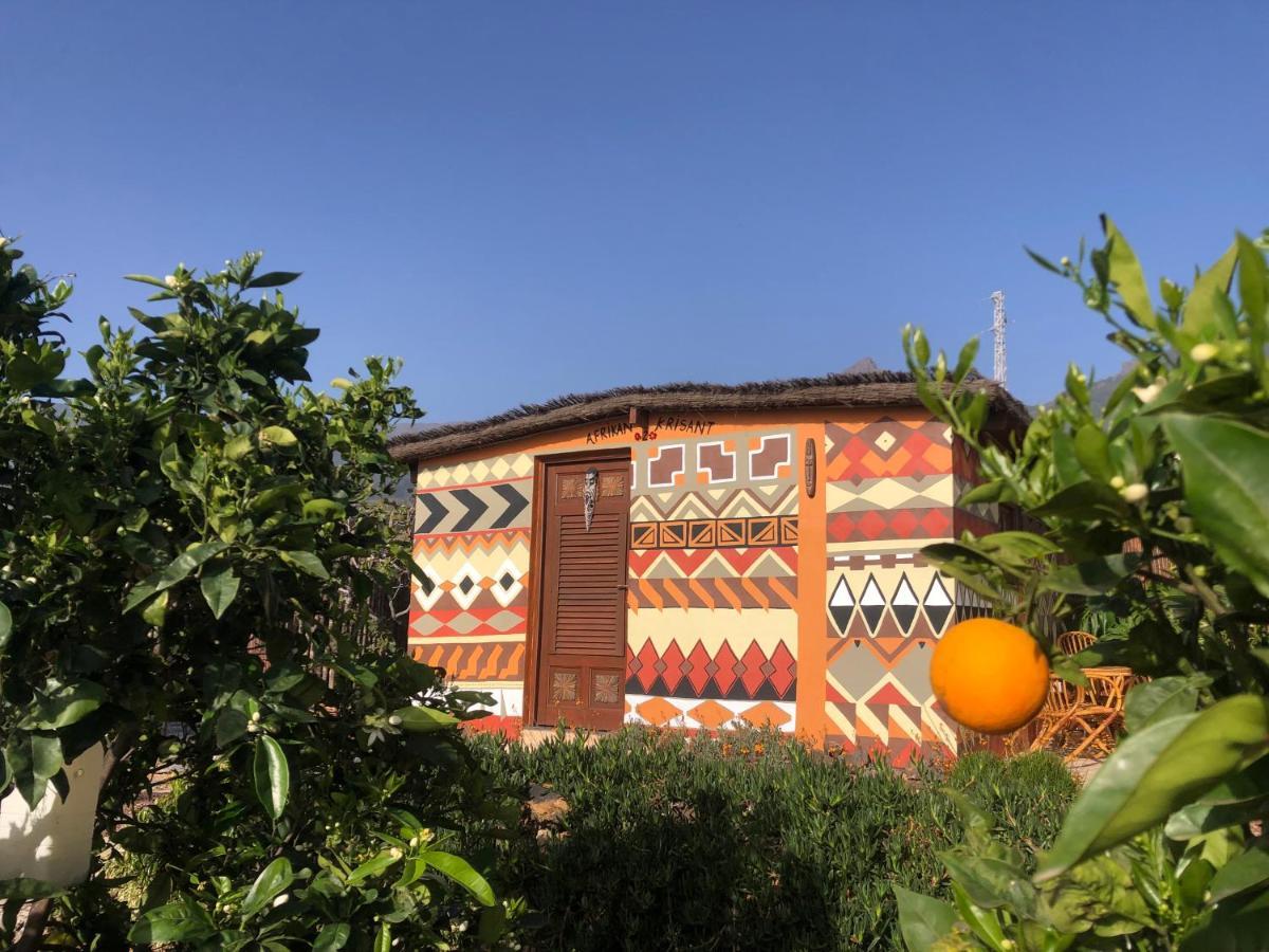 Afrikan Krisant Tenerife, Casa Rural Ecologica Villa Arafo Exterior foto