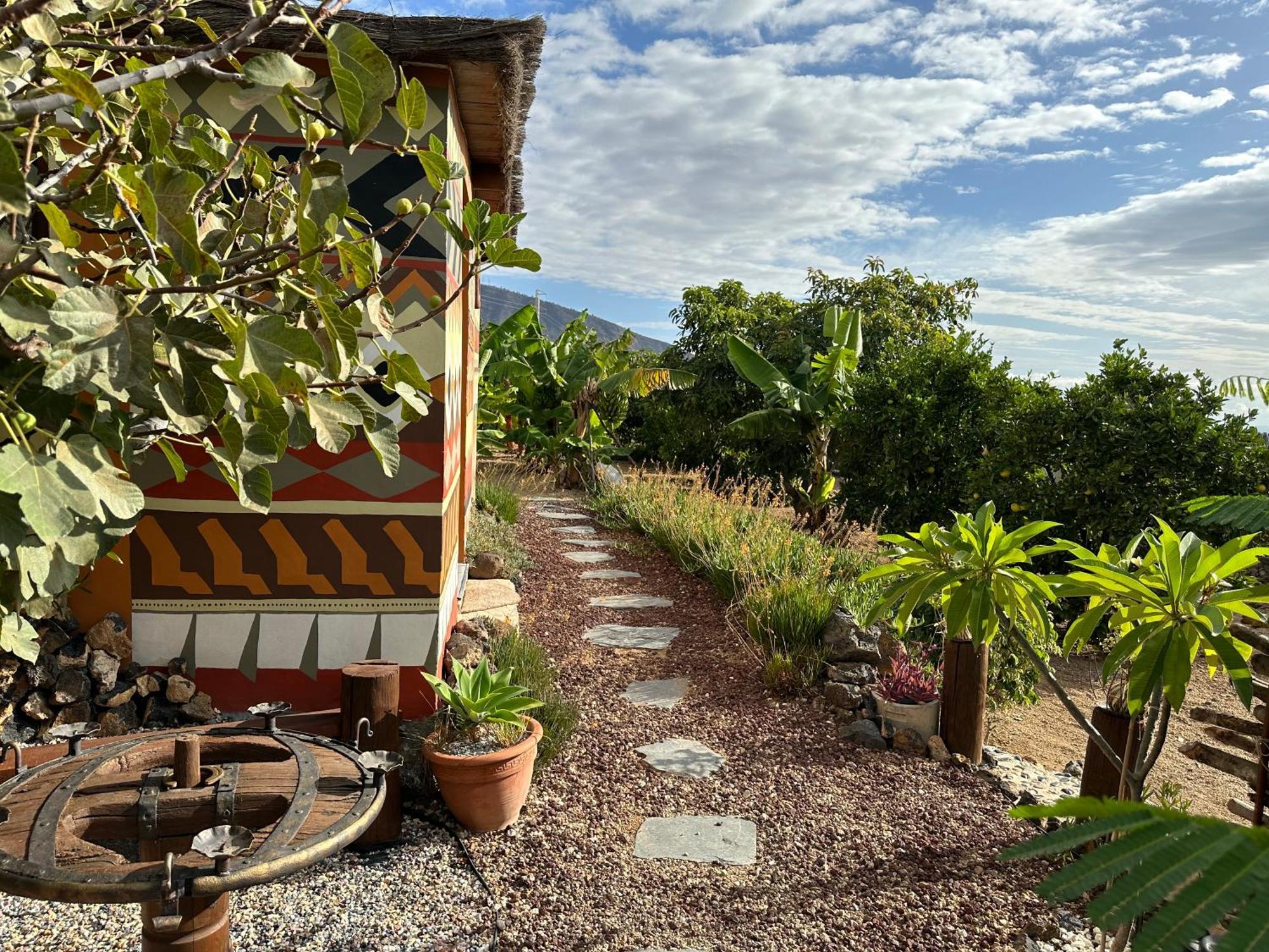 Afrikan Krisant Tenerife, Casa Rural Ecologica Villa Arafo Exterior foto